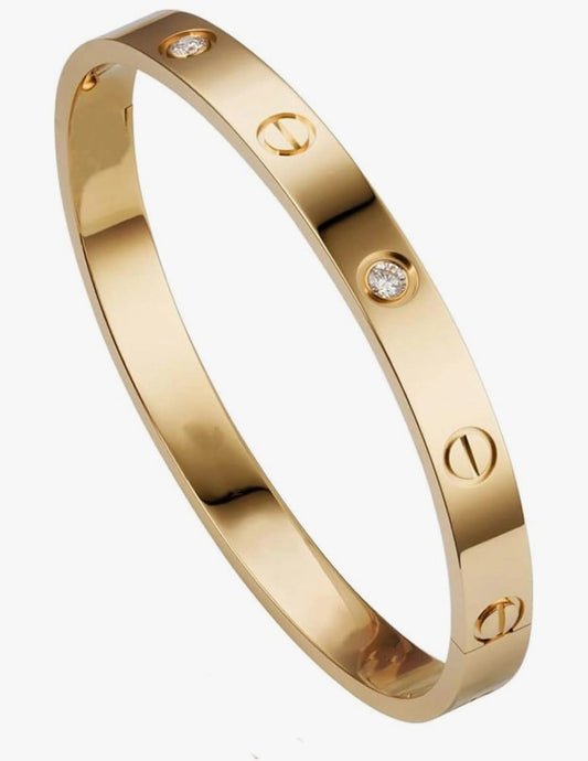 CARTIER LOVE BANGLE BY ZIOR